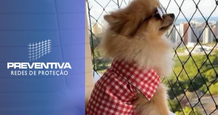 Por que instalar uma rede de proteção animal?