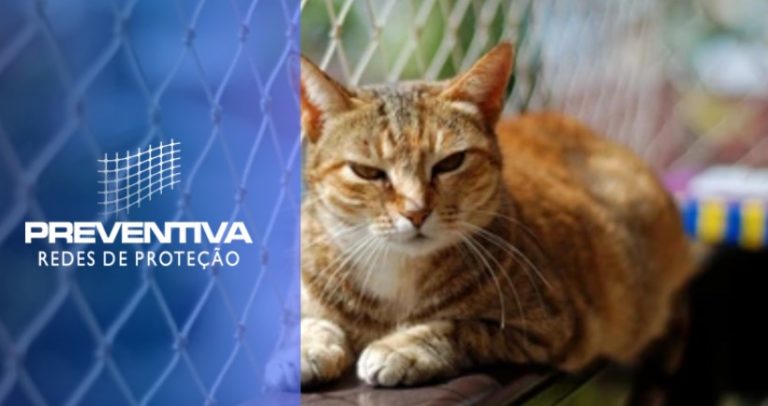 Guia rápido: Rede de proteção para gato