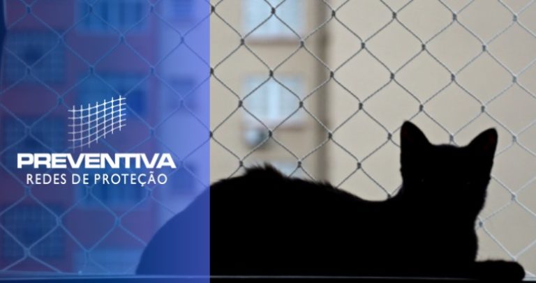 Tudo sobre a tela para gatos