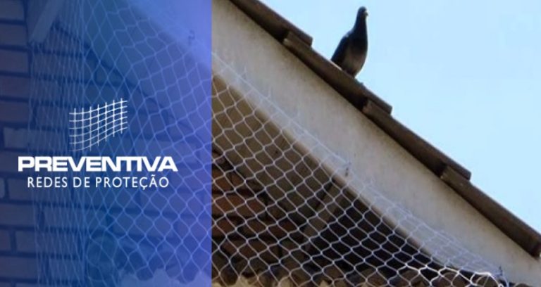 Tela contra pombos: Saiba por que você precisa dessa proteção
