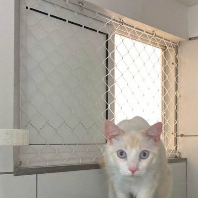 rede de proteção gatos