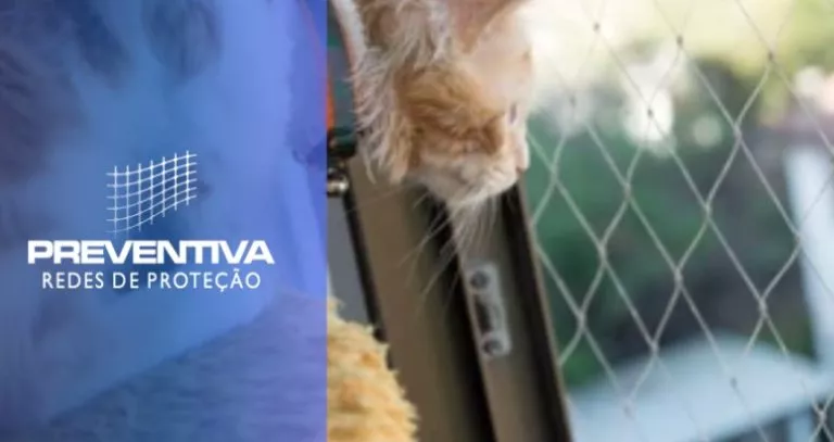 Por que instalar uma rede de proteção para gatos?